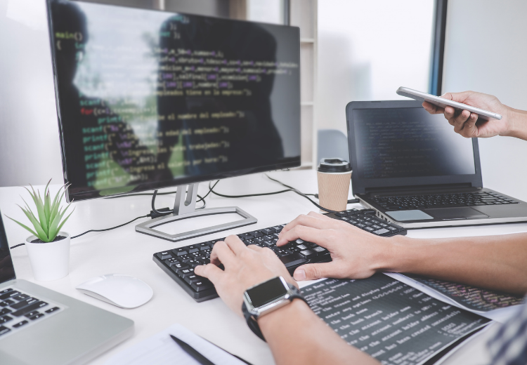 Alanya Profesyonel Firma Hizmetleri